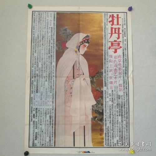 成人无学历可以考的资格证书